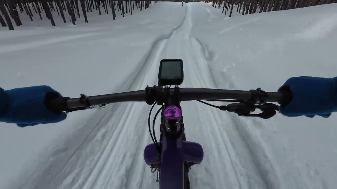 22 февраля