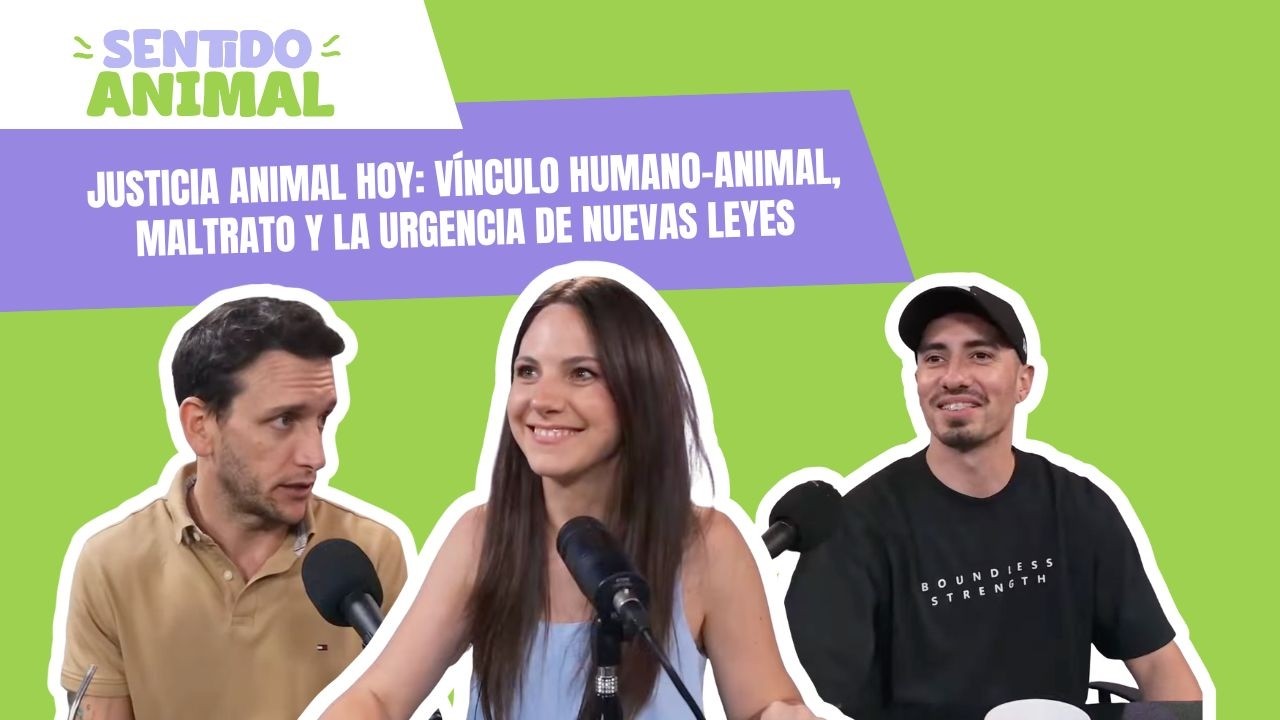 Justicia animal hoy. Vínculo humano-animal, maltrato y la urgencia de nuevas leyes