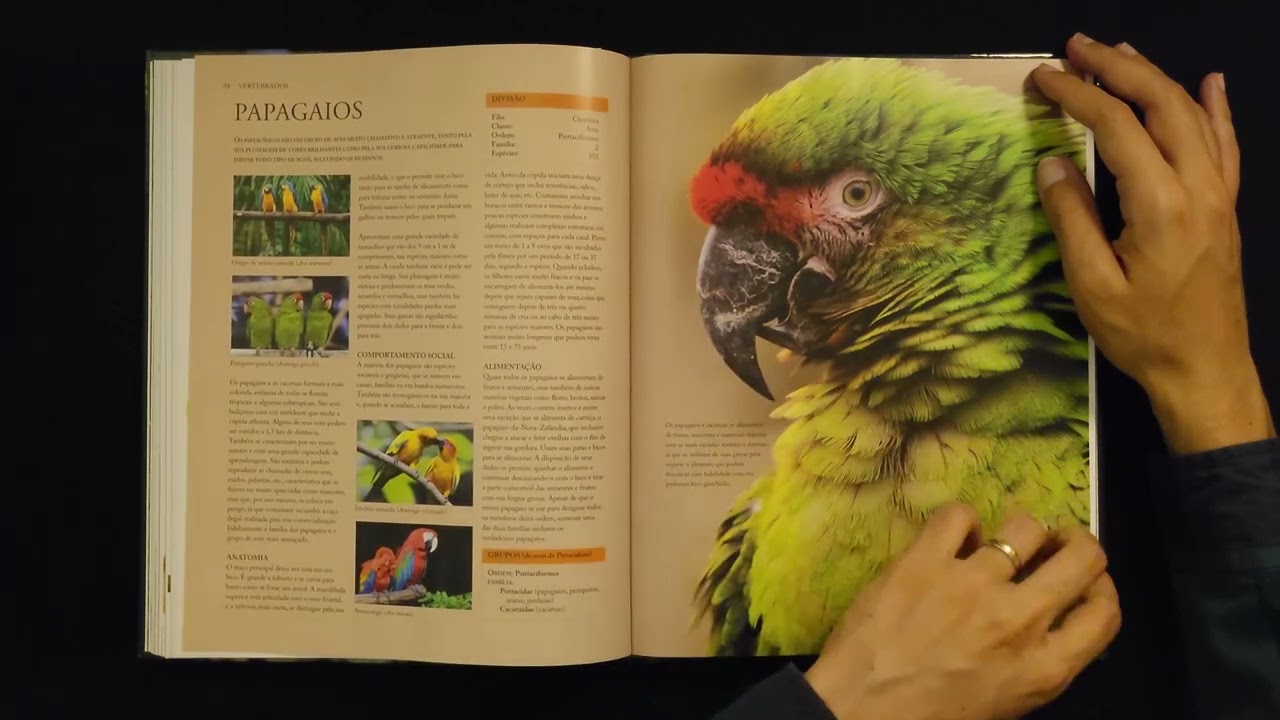 Enciclopédia do Mundo Animal - Nuria Penalva | Tapping, Scratching, Page Turning | Sounds Book ASMR