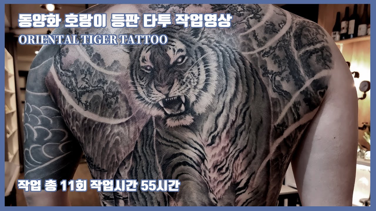 [동양화 호랑이 등판타투 작업영상] 홍대타투 등판문신 작업시간, 과정