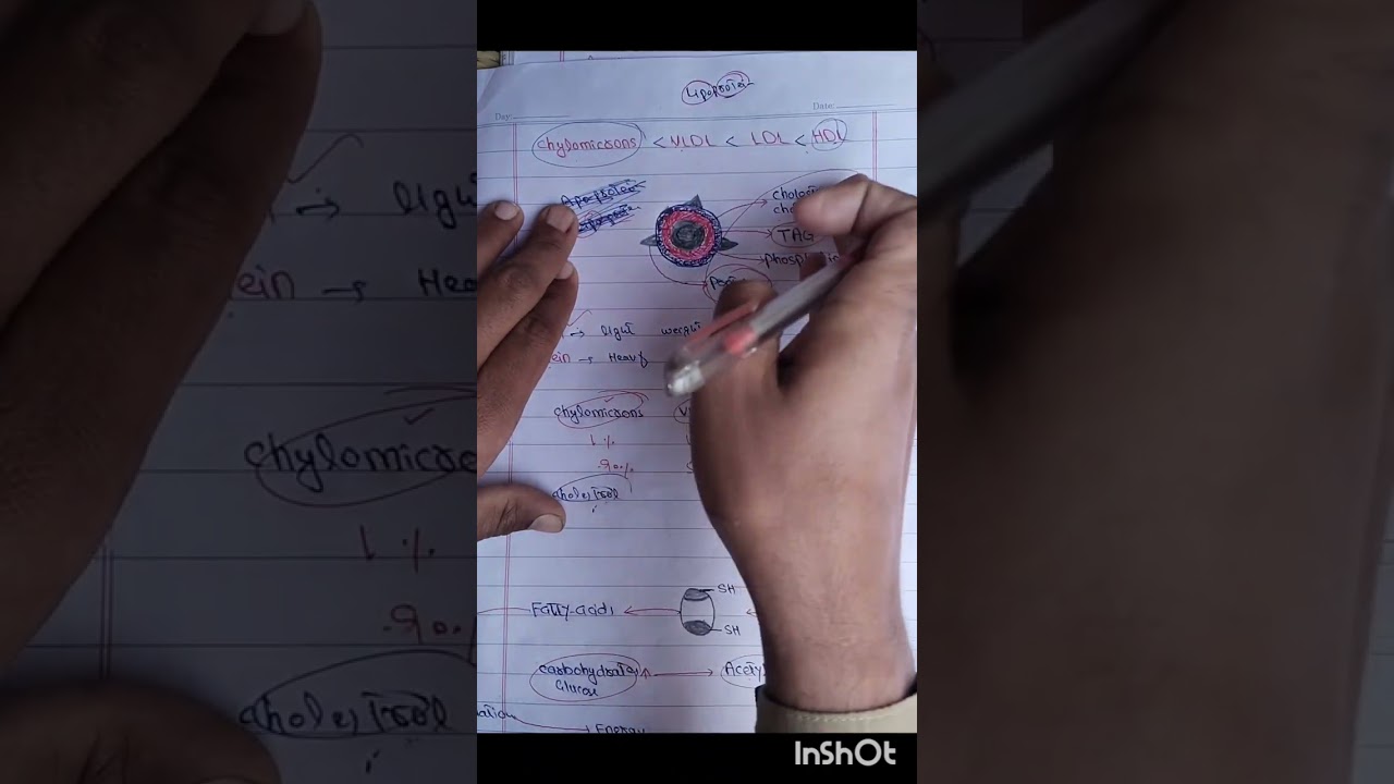 Lipids metabolism.  Lecture 3 