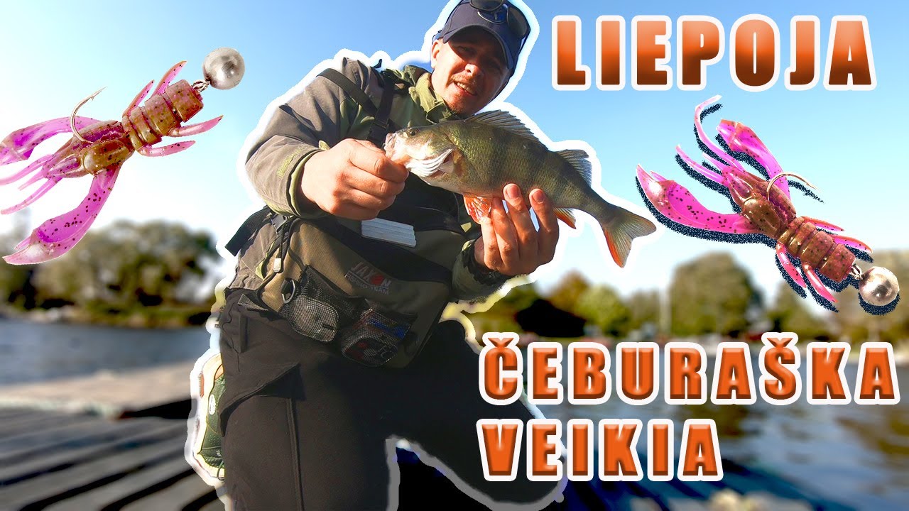 Ešerių žvejyba spiningu Liepojos kanalas Latvija