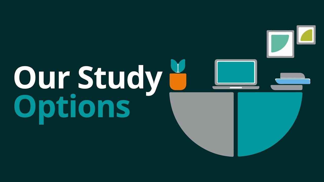 Our Study Options