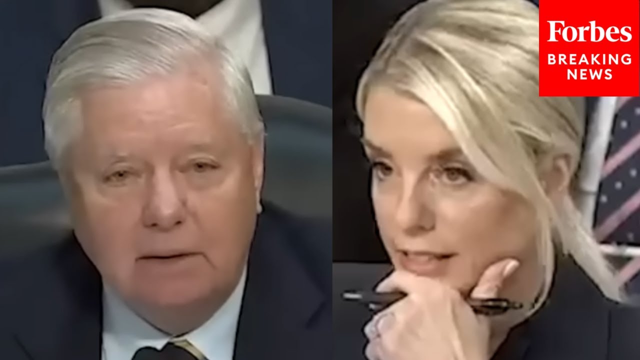 'Are You Familiar With The Steele Dossier?': Lindsey Graham Questions Trump Officials | 2025 Rewind
