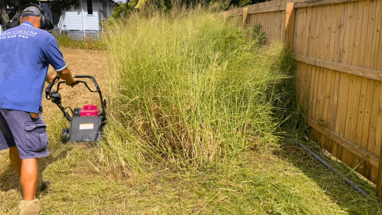 The MOST OVERGROWN yard transformation for a SINGLE mum