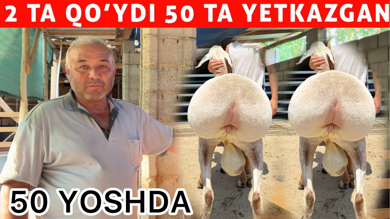50 YOSHLI TOGA 50 TA QO&lsquo;YNI QANDAY BOQMOQDA? &ndash; AJABLANARLI USULLAR!