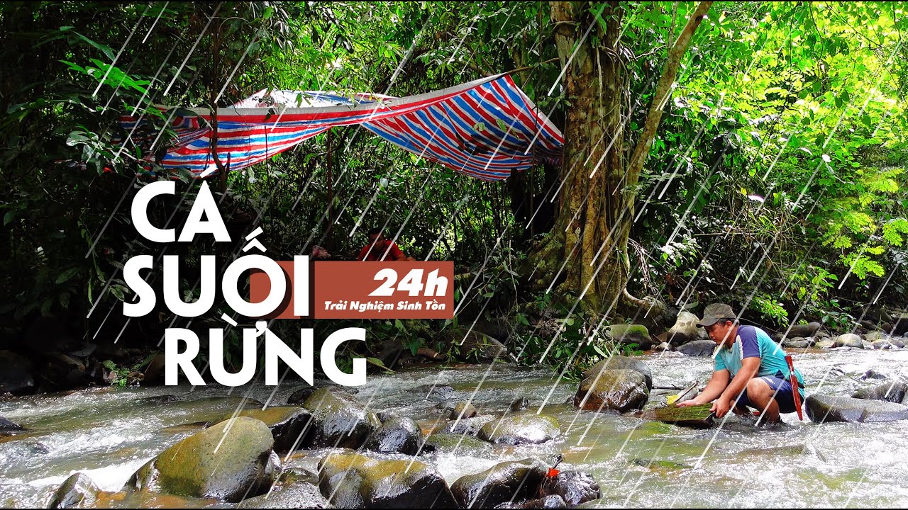 Đi tìm CÁ SUỐI trong Rừng Mưa Nhiệt Đới, ngày mưa lũ | Rainforest STREAM FISHING Secrets EXPOSED