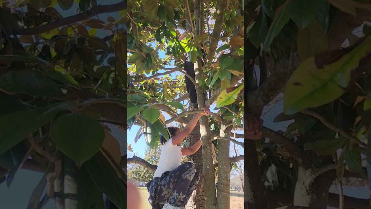 CLIMBING TREES WITH GRANDKIDZ ON FIRST NICE DAY