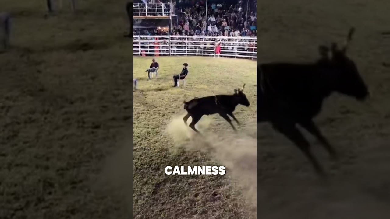 Power Of Calmness! (🎥 quiquenunez)