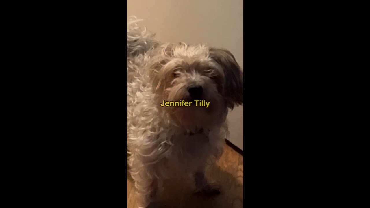 Lil' Brab - Jennifer Tilly [Official Lyric Video]