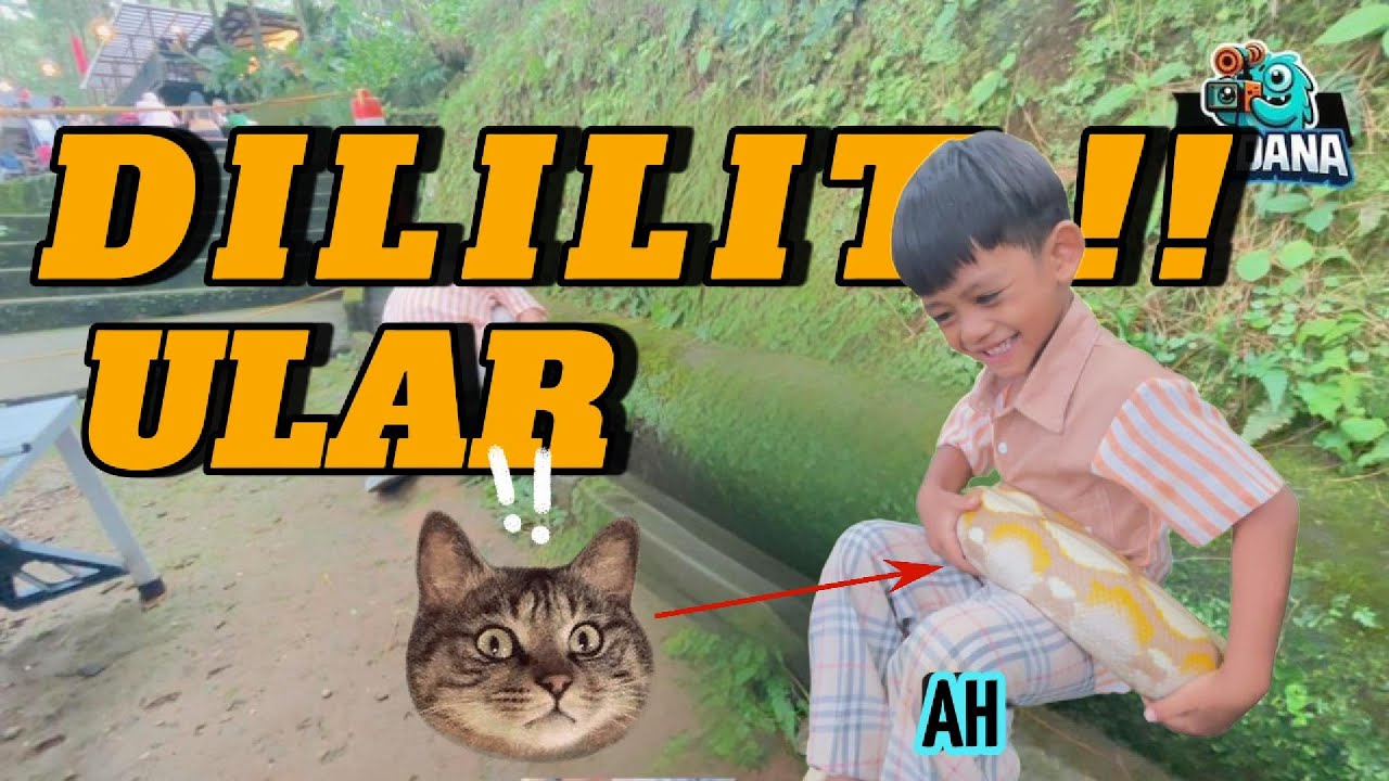 Ular Ini Tiba-Tiba Melilit Erdana… Reaksinya Bikin Kaget!
