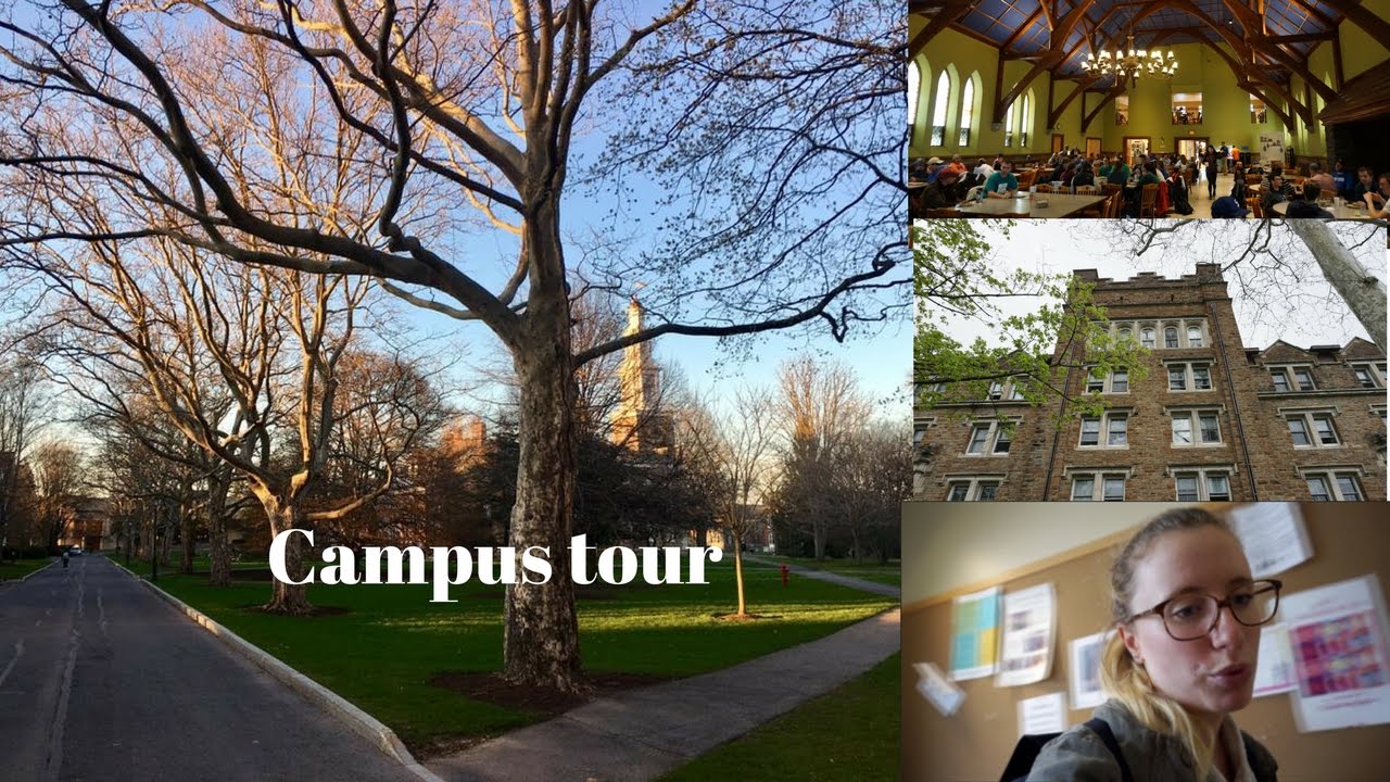//TOUR DE MON CAMPUS AMERICAIN//