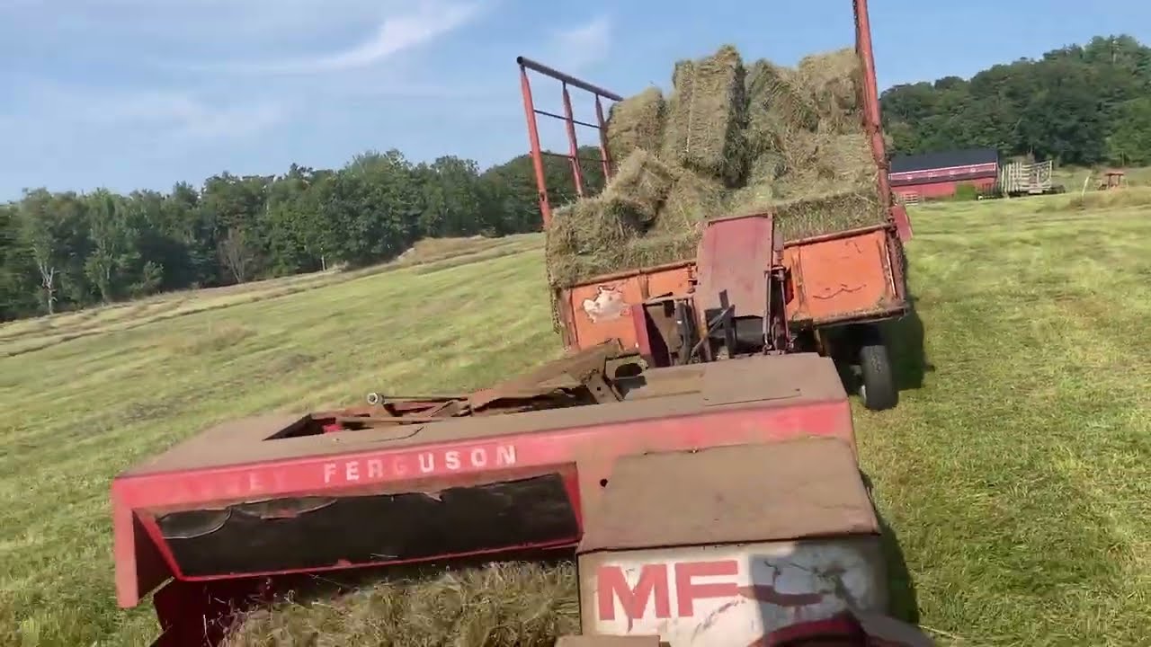 Baling Hay Four Days in a Row!  (Second Cut 2025)