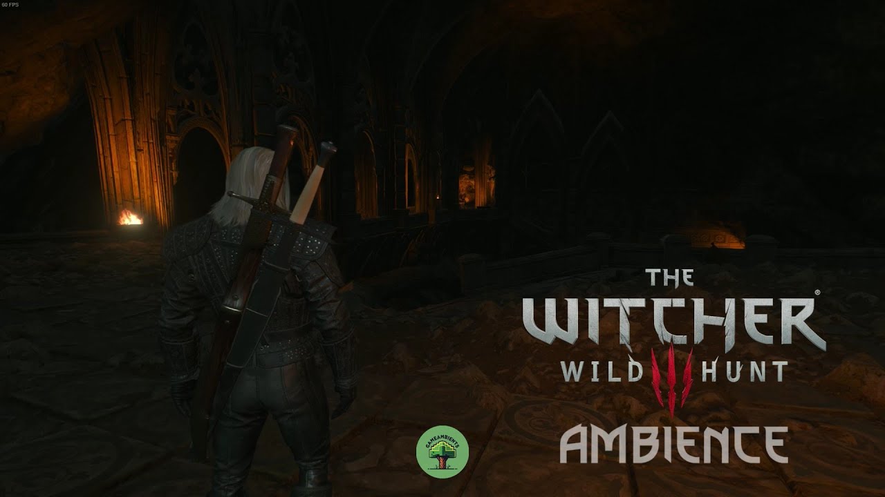 -  The Witcher 3  -  1 Hour Elven Ruins Ambience