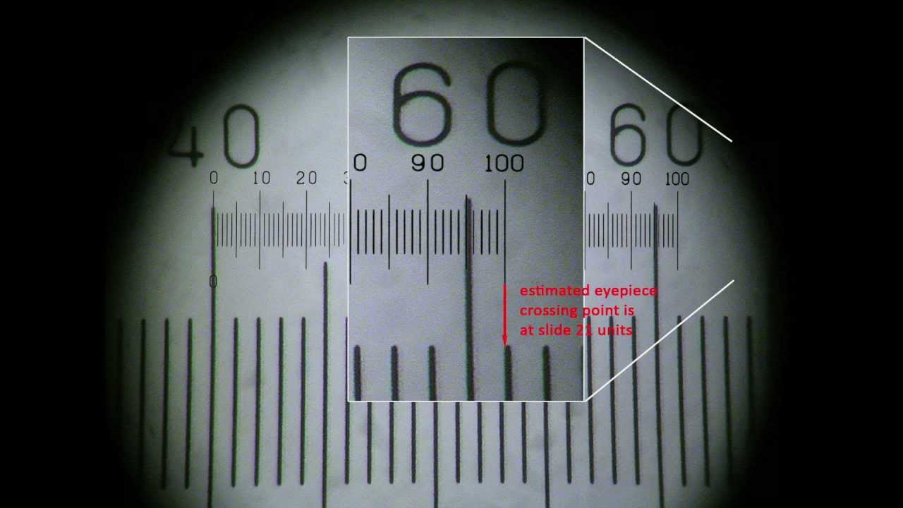 Calibrating a microscope