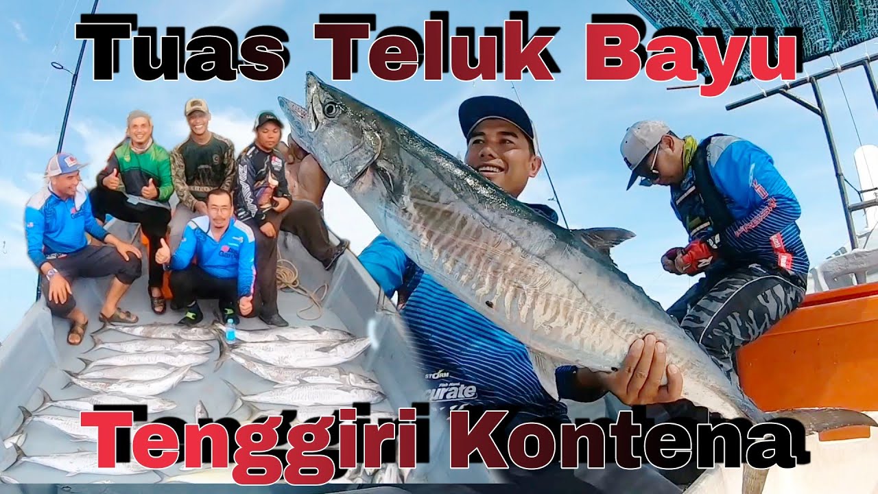 Menggasak Tenggiri Besar² Kontena Tuas Teluk Bayu Terpadu Trip Pembukaan 2024 Hasil 10kg Sorang s272