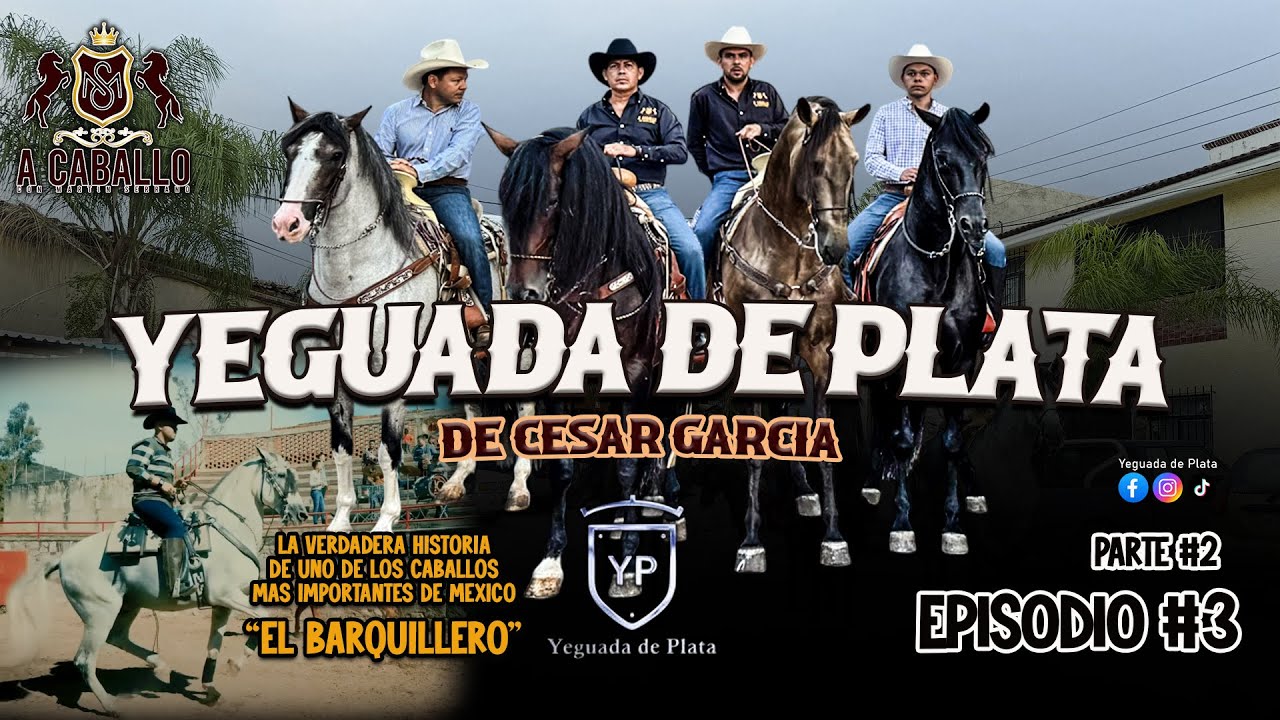 YEGUADA DE PLATA PARTE 2