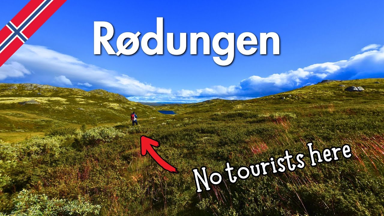 Rødungen | Bergsjø | Skarvheimen