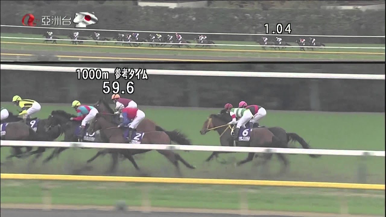 2014 日本盃 Japan Cup 神威啟示 Epiphaneia エピファネイア