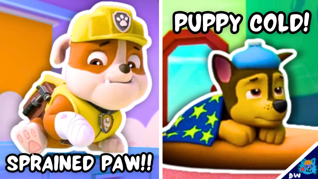 Every Time a Pup was Hurt or Sick in Paw Patrol 🤕
