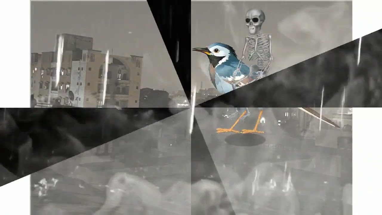 Rainy bird skeleton 