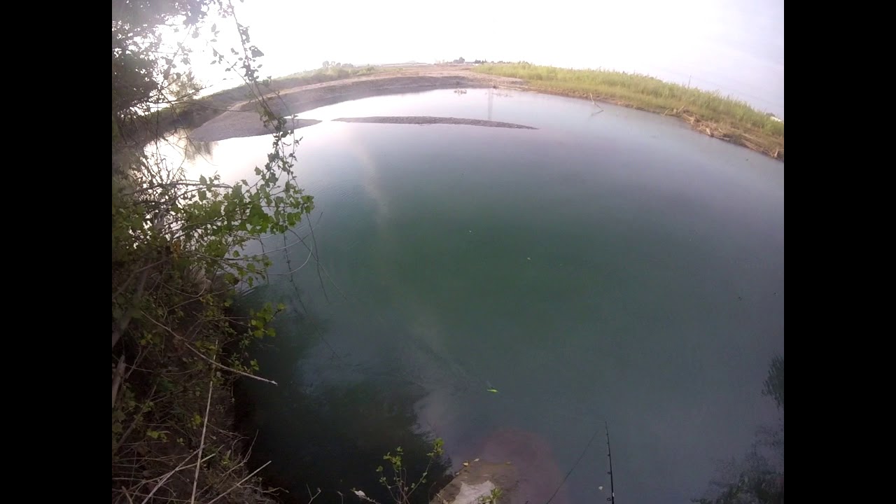 Megabass X80 Propdarter