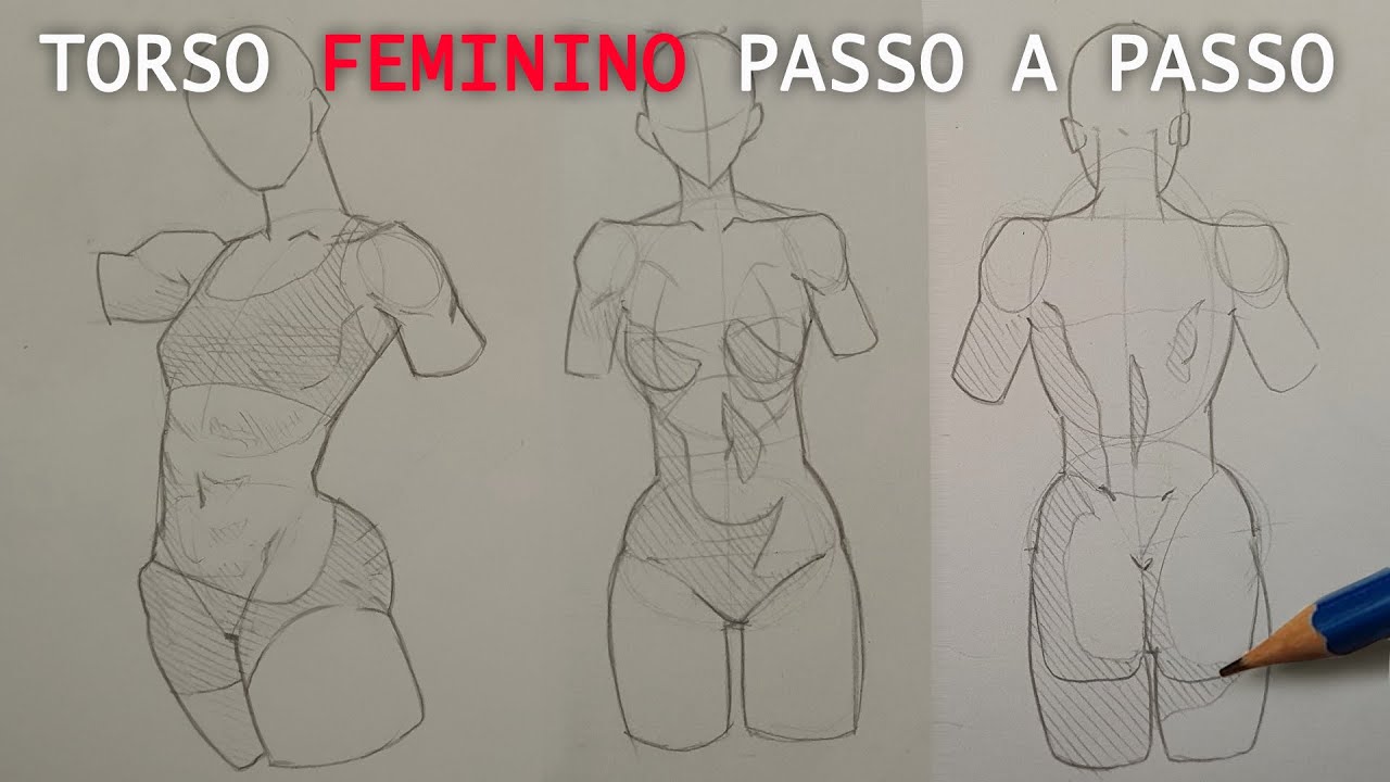 Como desenhar qualquer torso feminino