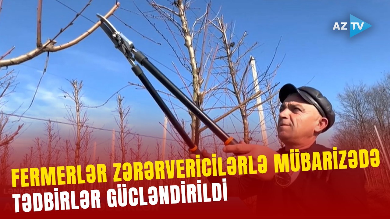 Fermerlər bu tədbirləri gücləndirdi: AzTV əməkdaşı onlara kömək etdi - Bağdan GÖRÜNTÜLƏR