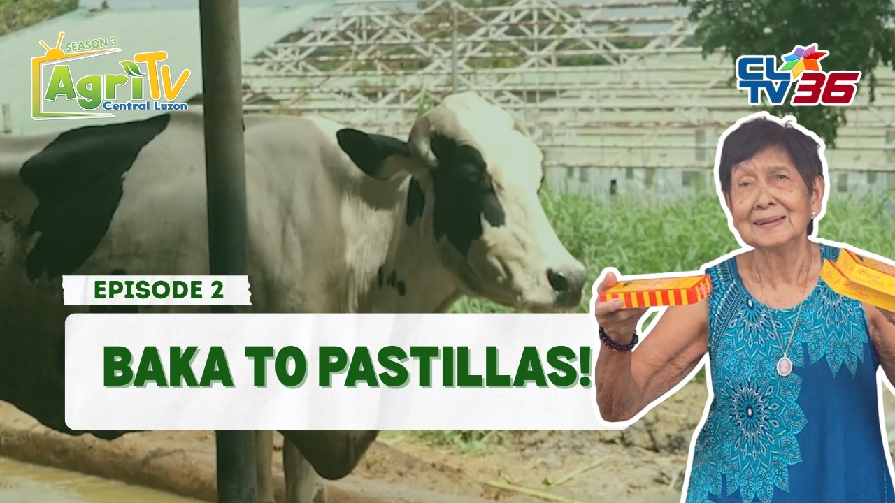 #AgriTVCentralLuzon | Season 3 Episode 2 Part 2