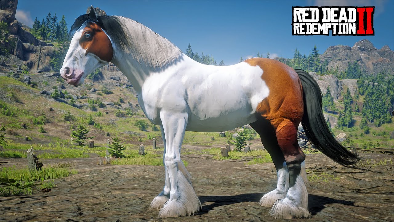 John Marston Discovers a Beautiful Huge Gypsy Cob Horse at Diablo Ridge | RDR2