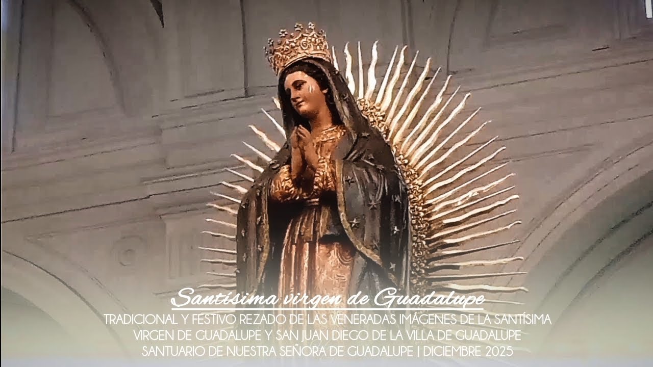 Entrada a catedral - Procesión de la virgen de Guadalupe | 12 de diciembre