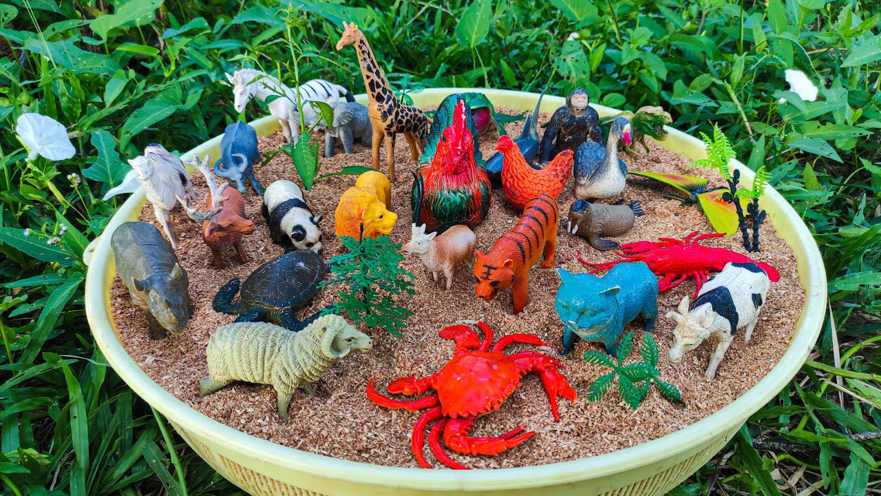 AYO!!! Mengumpulkan mainan hewan, sapi, bebek, angsa, ayam, gajah, singa, unta, buaya, zebra