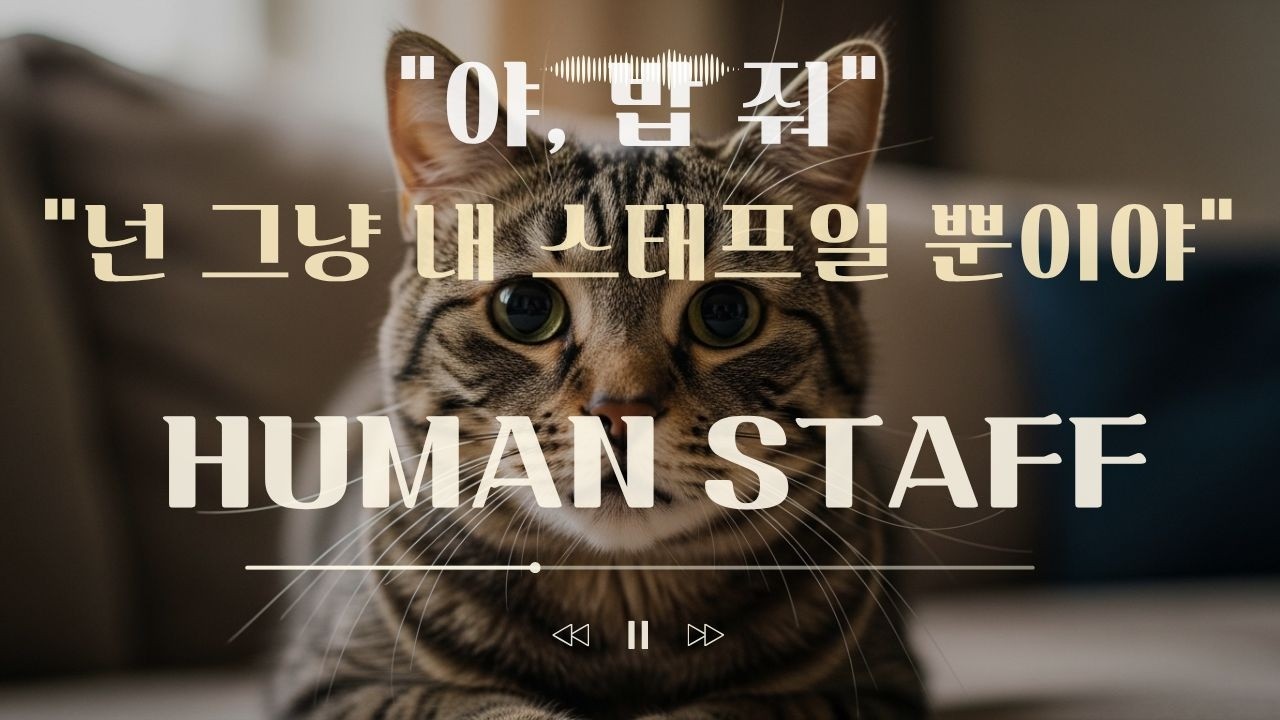 My human staff
