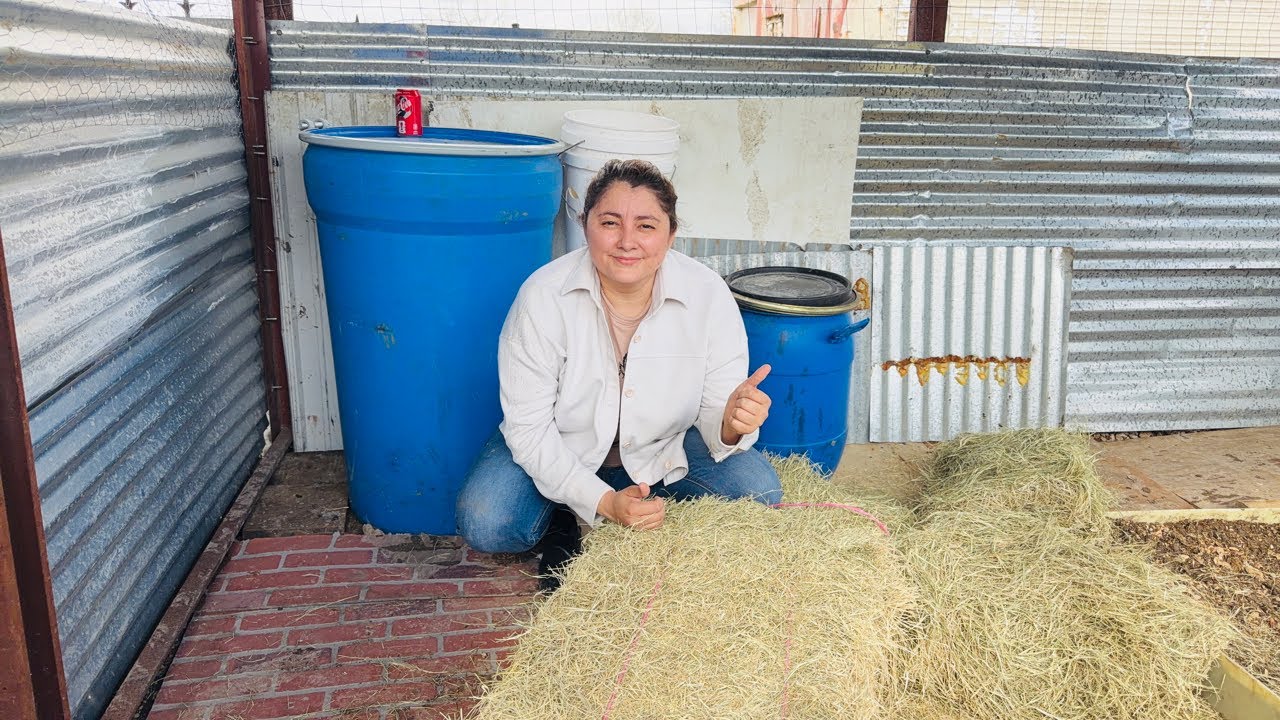 Un día pesado de trabajo en la granja 🚜