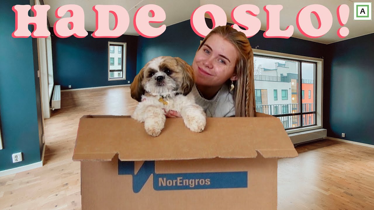 Min Nye Leilighet, Dobbel Så Stor! Flyttevlogg 2
