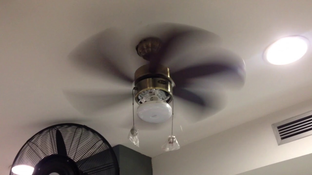 Ceiling fans at Ace hardware