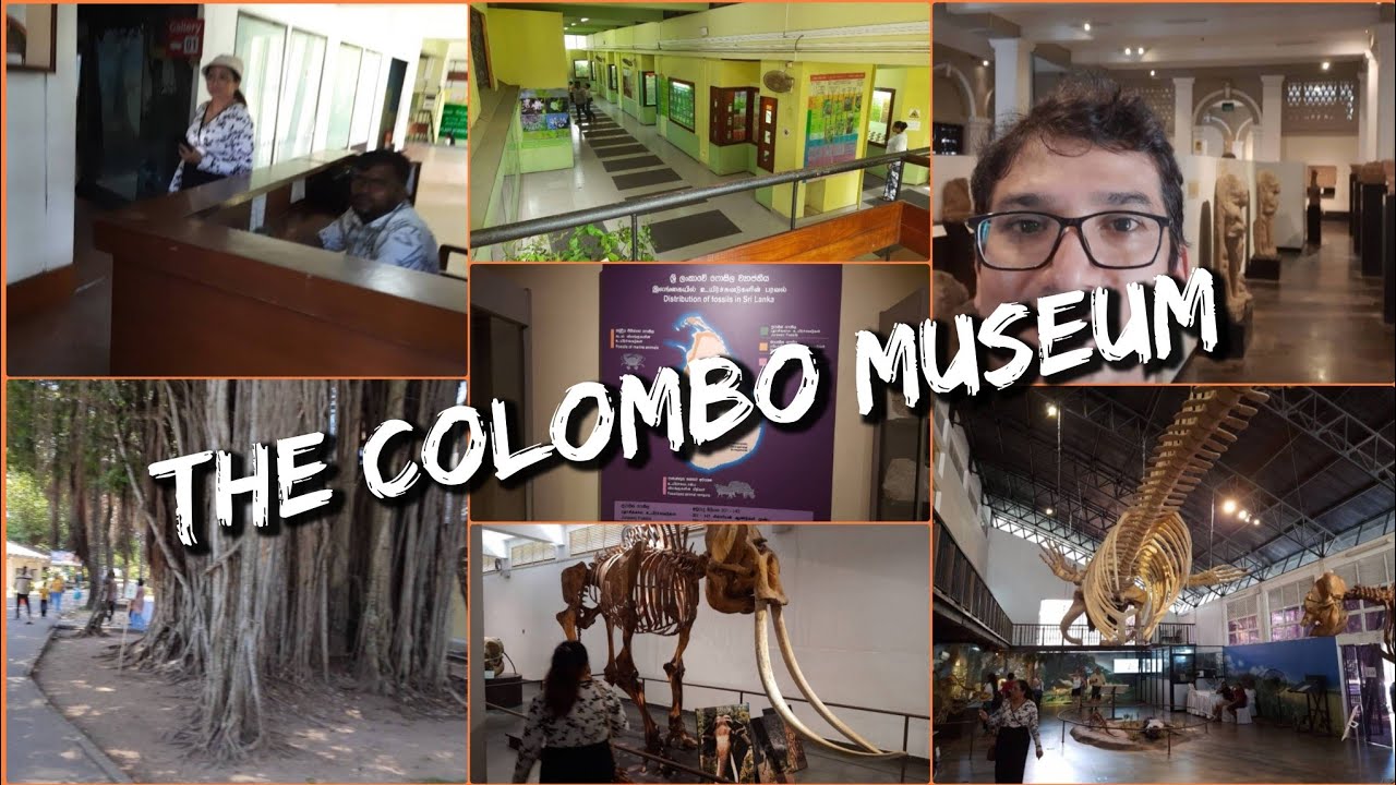 How Is The Colombo Museum And It's Campus, Colombo, Srilanka?