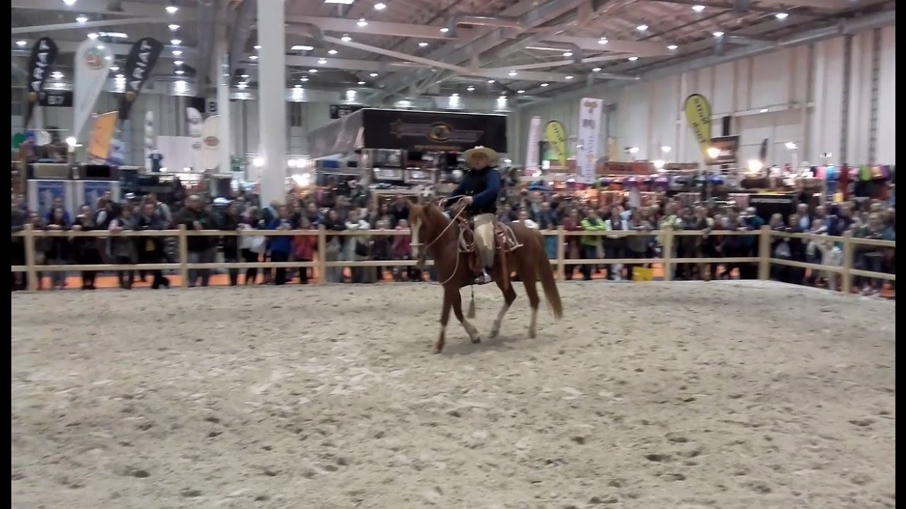 Erich Busch und Showman