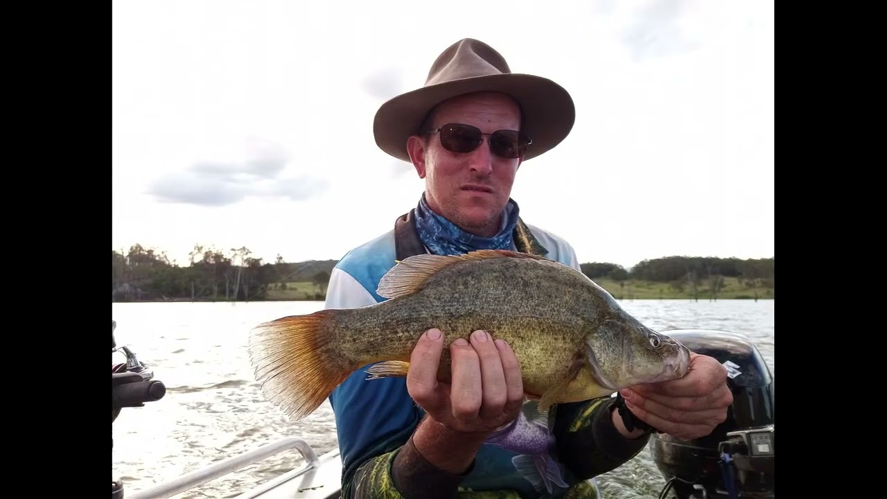 Glenlyon Dam Tourist Park Review