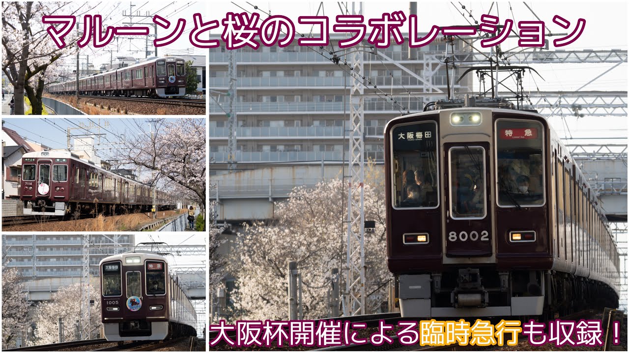 桜並木を快走する阪急走行集！