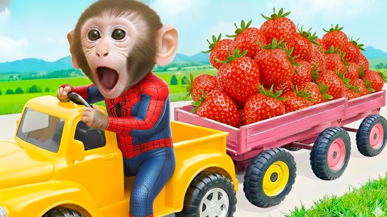 Un Día Especial de Bim, el Pequeño Mono, Cosechando Fresas 🍓