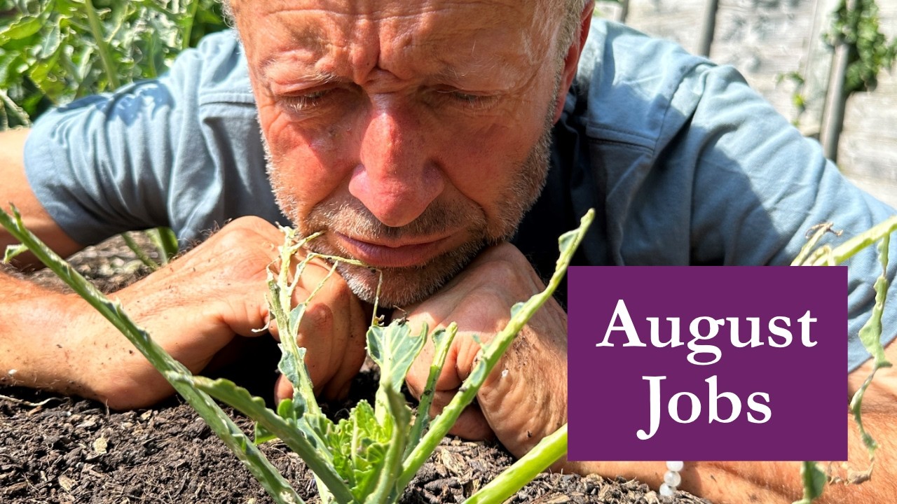 For ongoing beautiful harvests, jobs for August