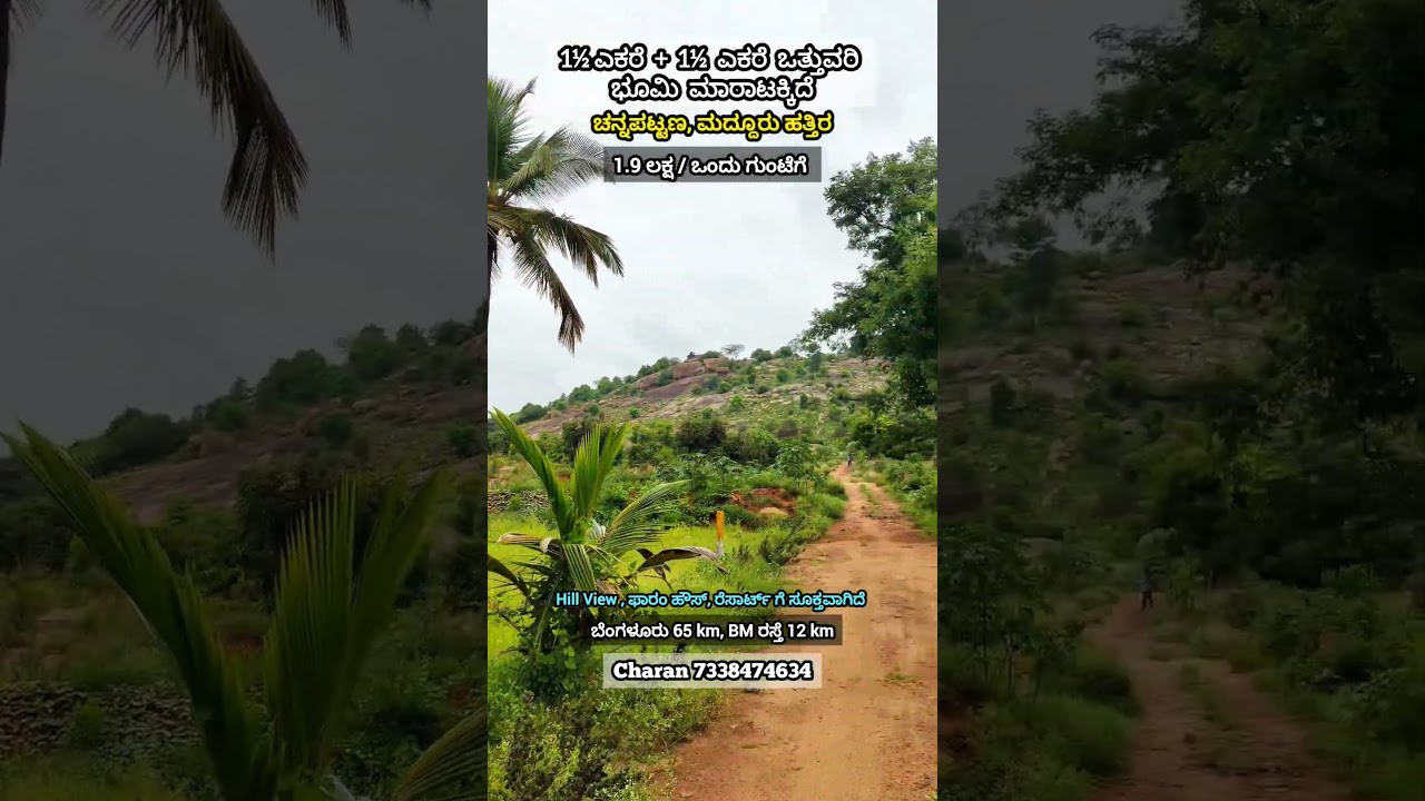 🔴SOLD 🔴1&frac12; Acre Land +1&frac12; Acre Extra Free Land Sale in Channapatna Maddur, ,Charan 7338474634