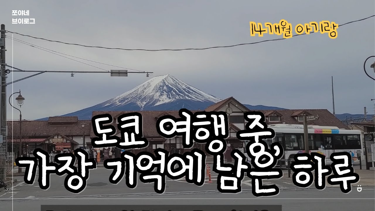 도쿄 여행 4일 차｜실제로 보면 압도되는 후지산 (가와구치코)