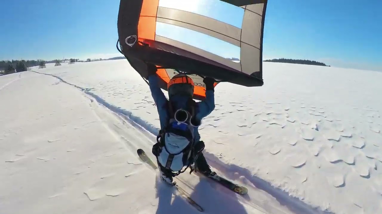 WINTER WING on Ski Jan 2023