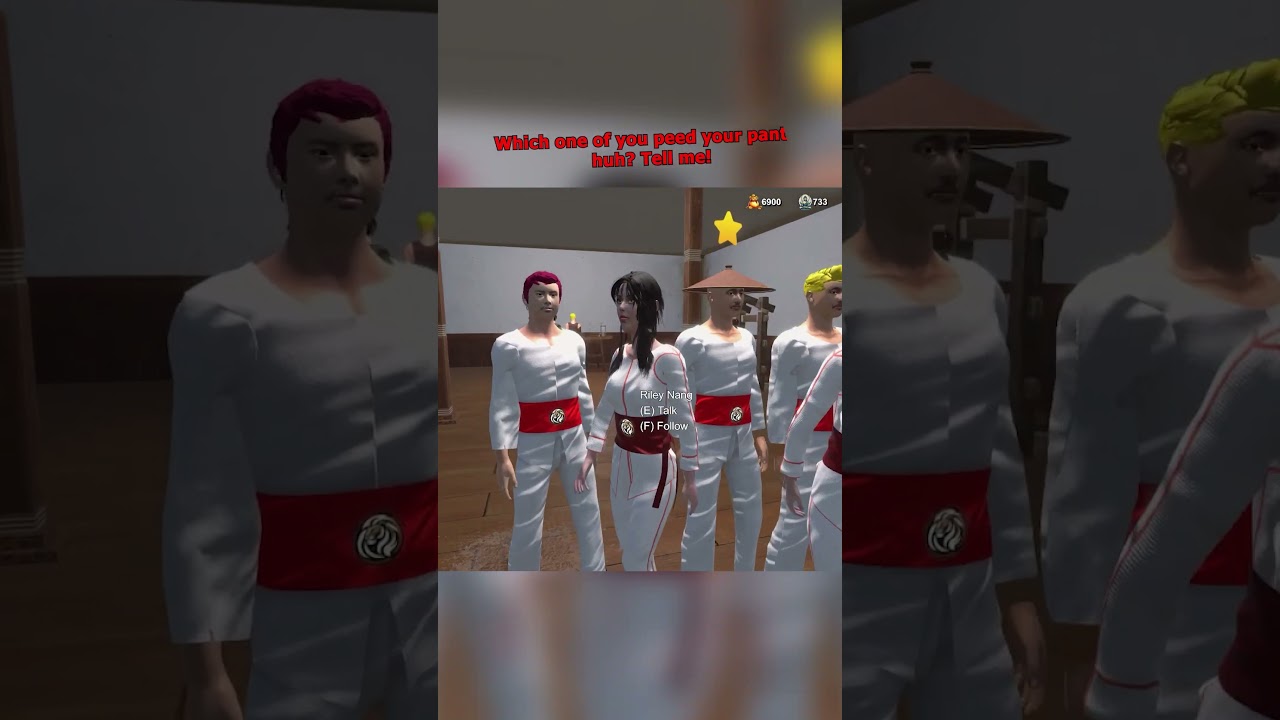 Fight School Simulator - Our television is old but it serves its purpose for visual education.