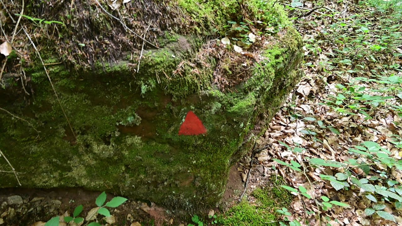 Von Münchweiler nach Hinterweidentahl / Rotes Dreieck