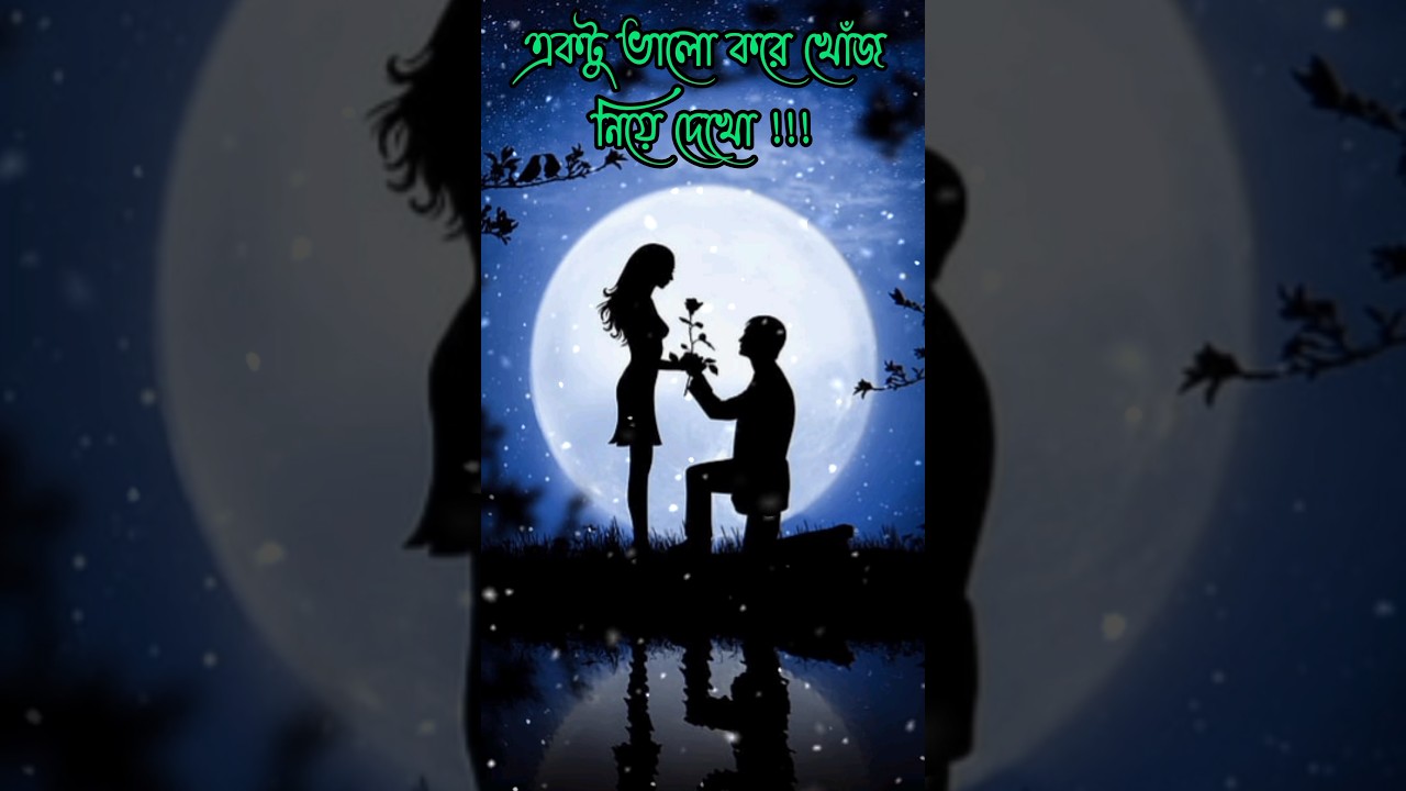 কষ্টের টিকটক। sad status। bangla shayrie।sad song। koster gan
