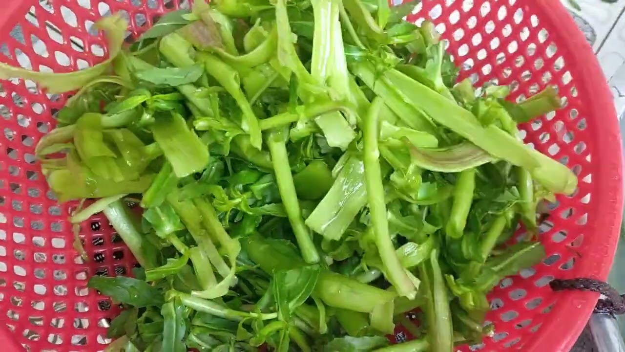 Lẩu cá tra phi lê với cơm mẻ chua thanh#comme#catra#monque #food #huongviquehuong 