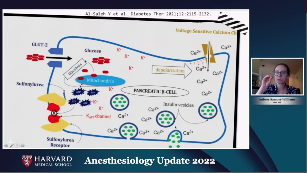 40  Perioperative Management of Diabetes Mellitus Getting It Right   Aubrey Samost Williams, MD, MS